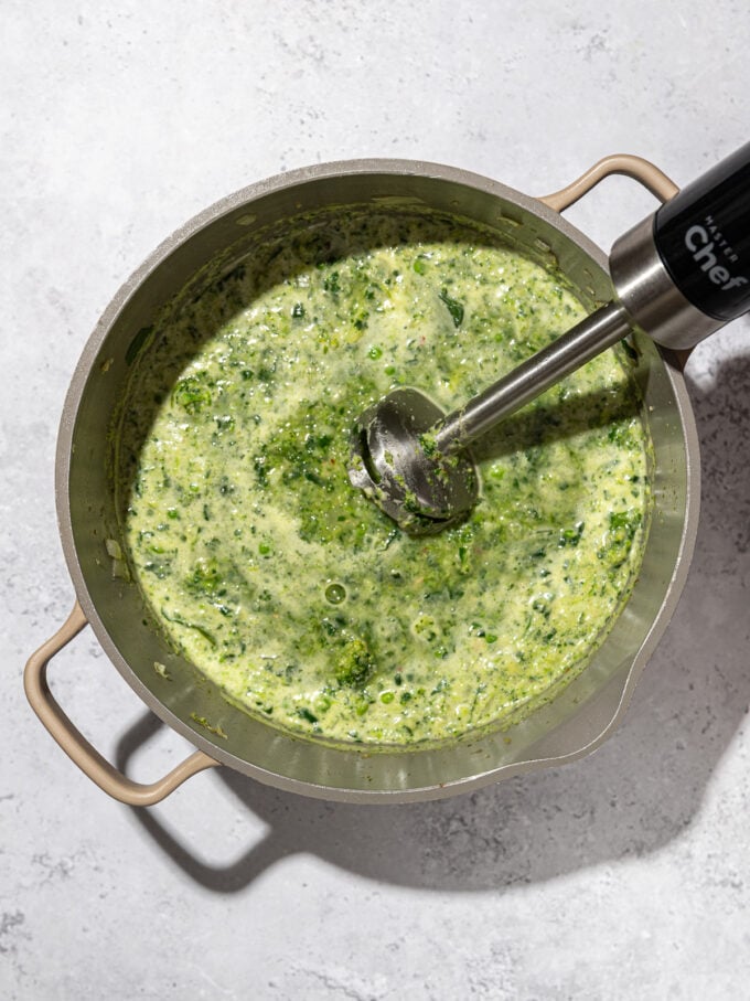 immersion blender in green soup pot