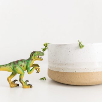 white ceramic bowl scattered with parsley beside a dinosaur toy