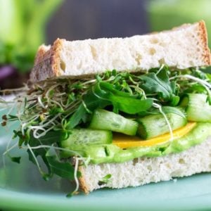 veggie sandwich on green plate
