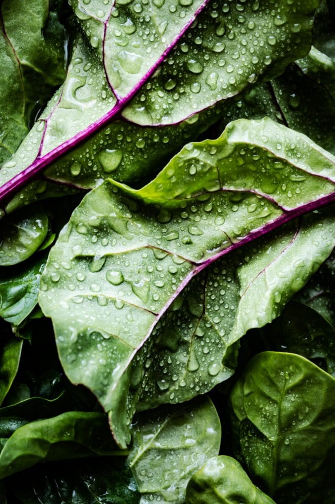 low fodmap swiss chard leaves