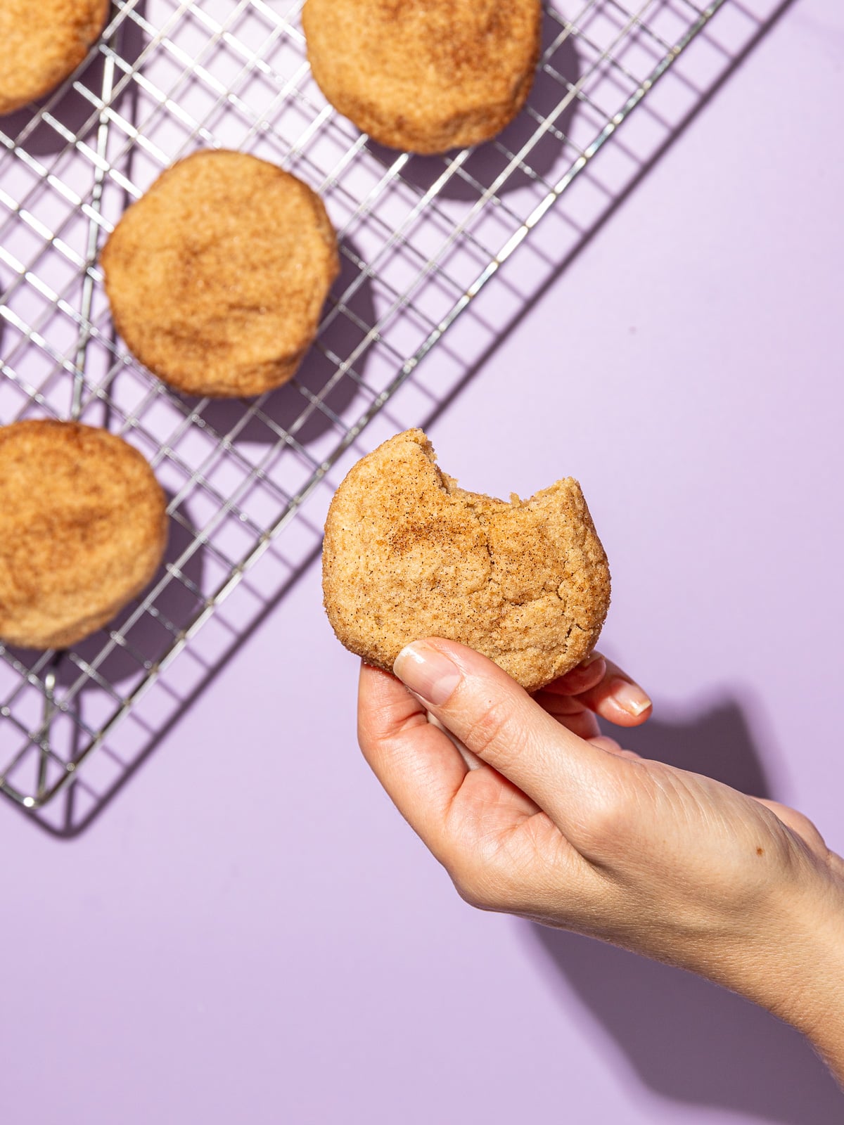 Soft-baked Vegan Snickerdoodles