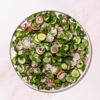cucumber radish and herb salad on white plate on pink background