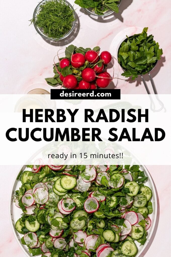 pinterest graphic of radish and cucumber salad on white plate with bunch of radishes and bowls of herbs